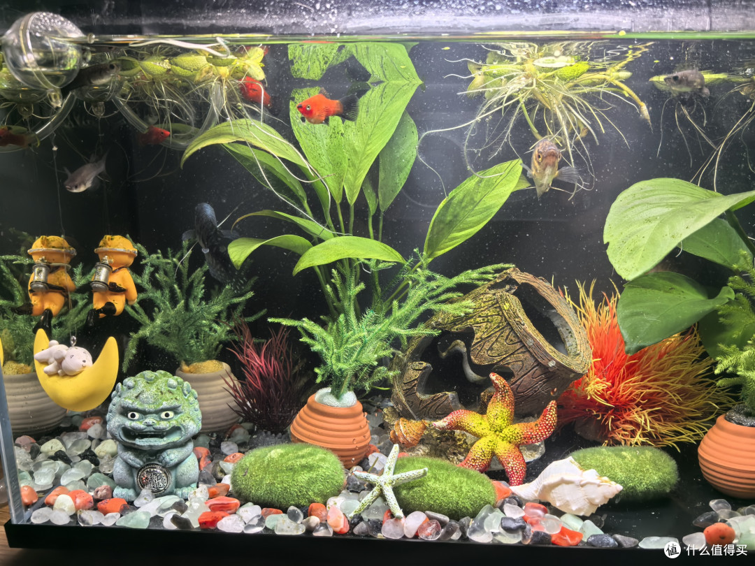 AI赋能放心消费新体验