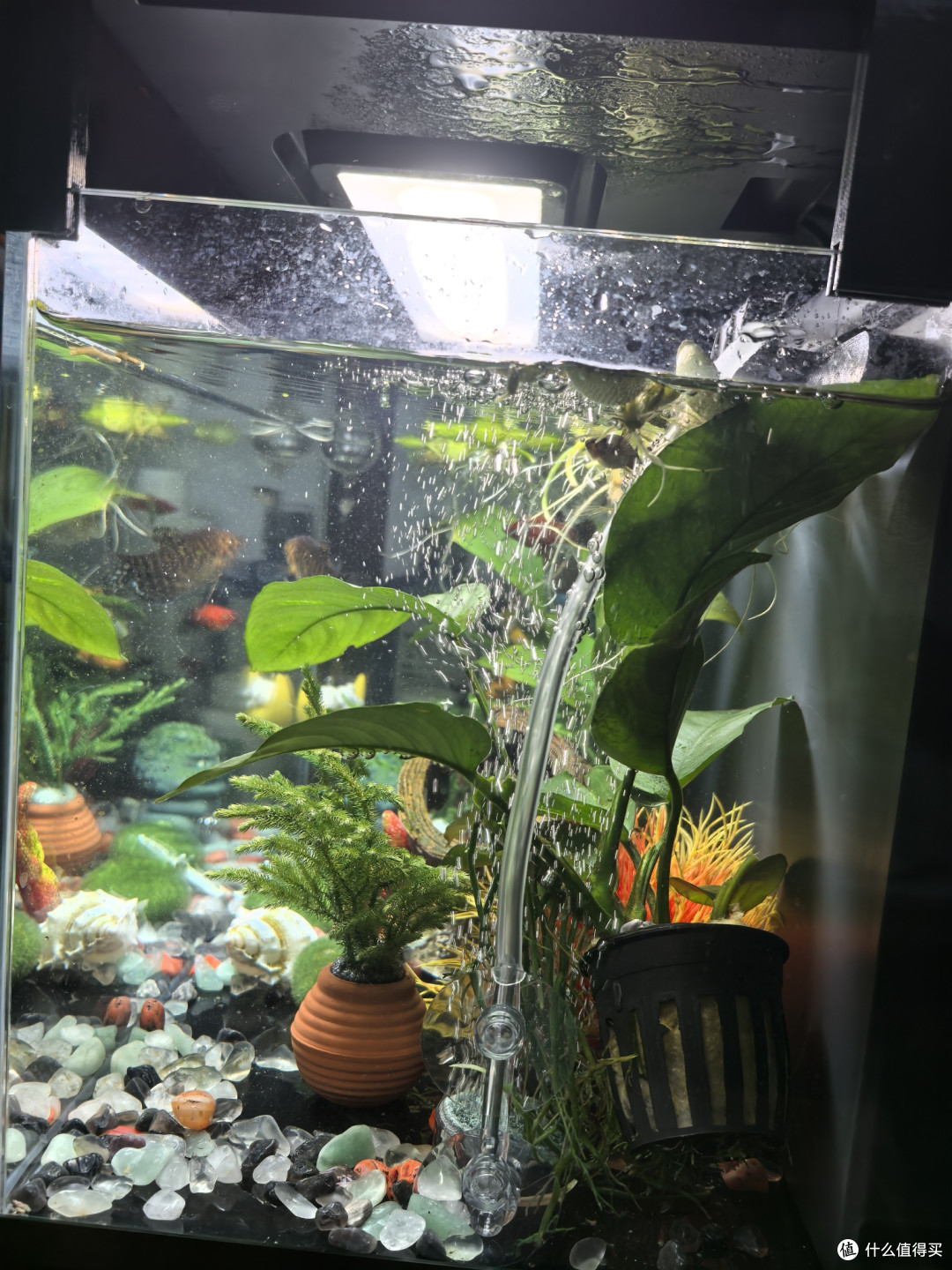 AI赋能放心消费新体验
