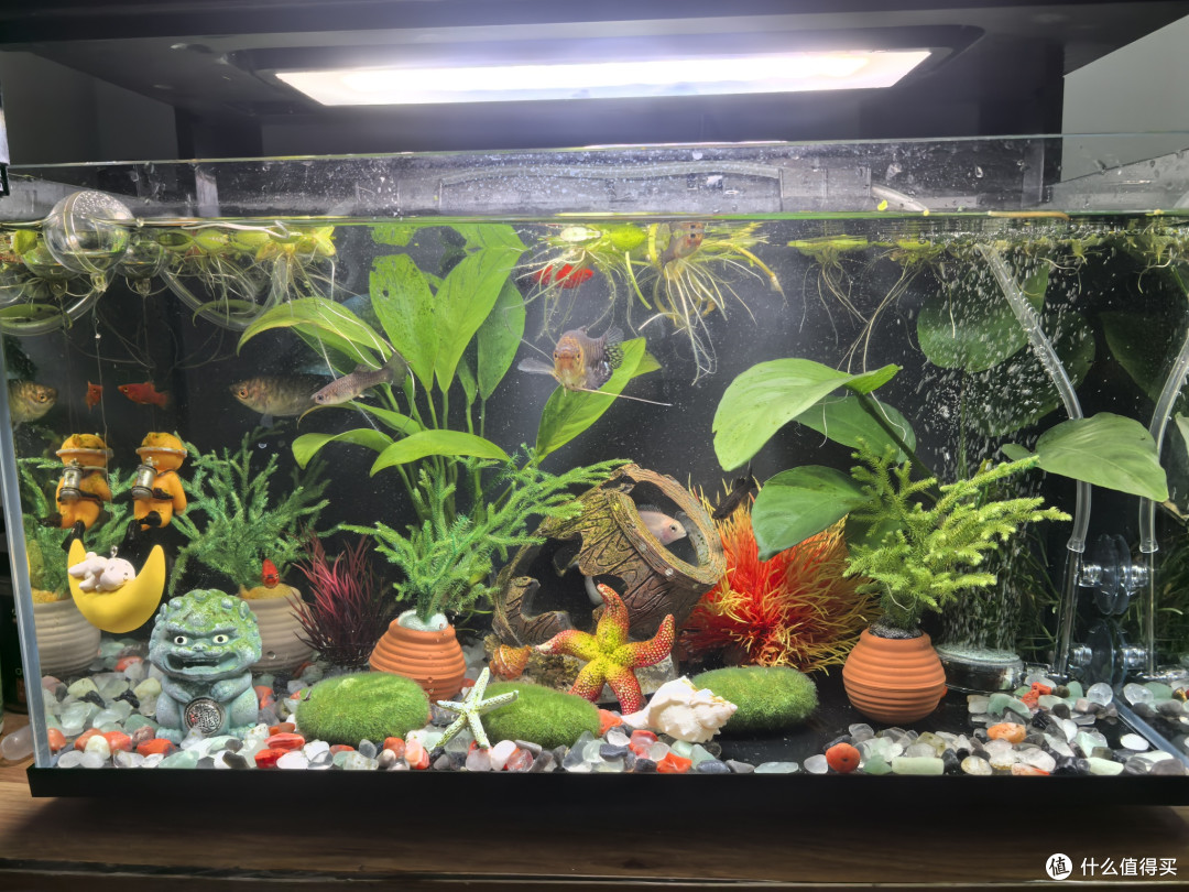 AI赋能放心消费新体验