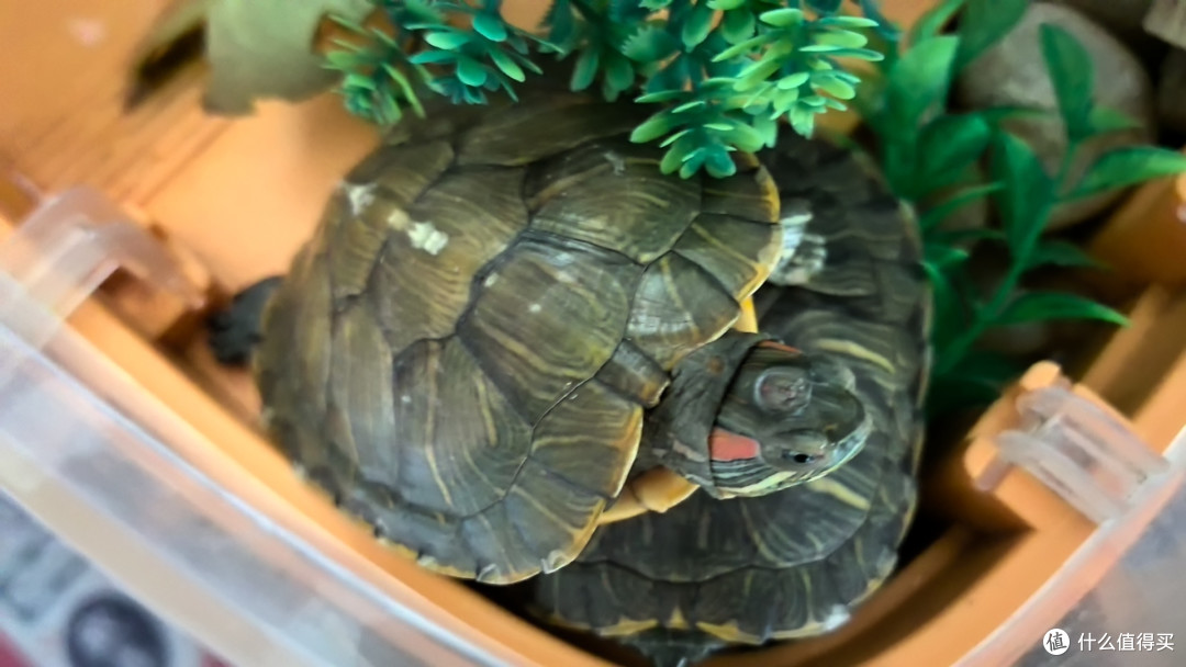 AI赋能放心消费新体验