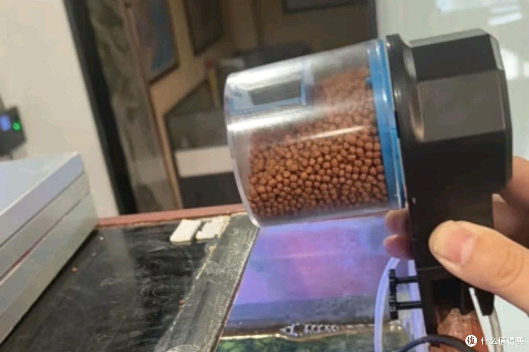 清明“出逃”,家里鱼咋办?自动喂料器来救场