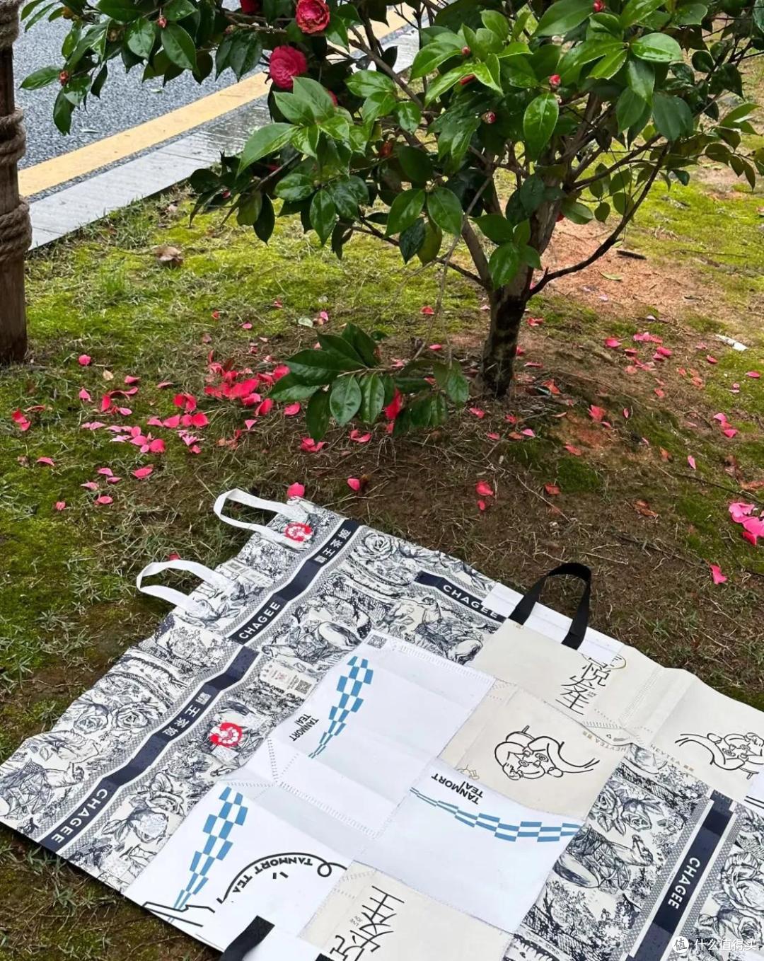 被网友的“抠搜露营神器”惊呆了,分文不花,凑齐一套露营设备
