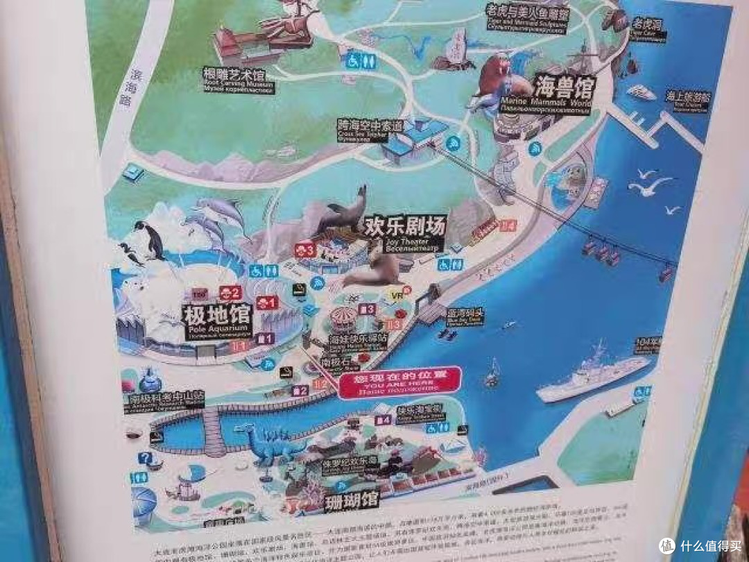 大连老虎滩海洋公园：蓝色的梦幻之旅