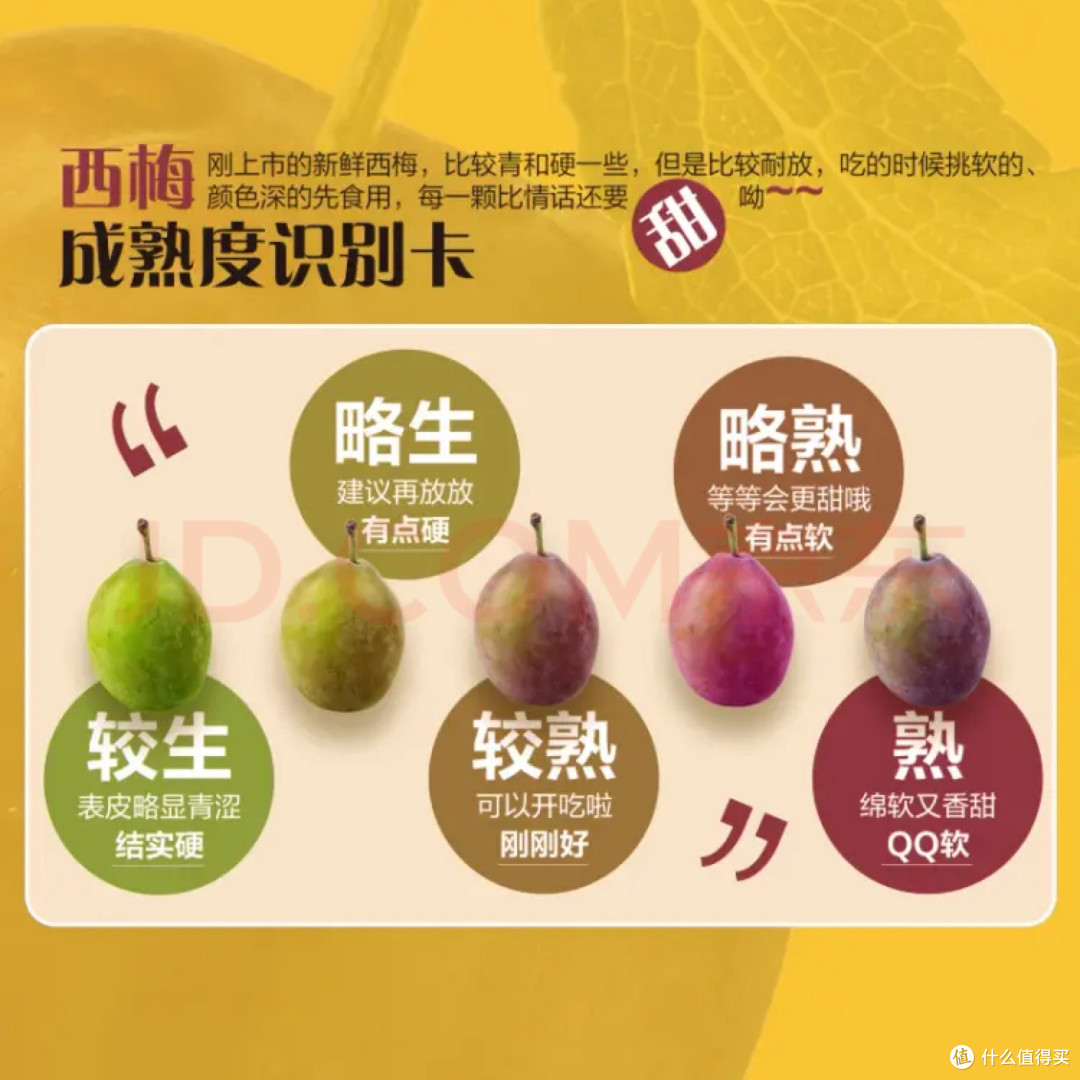 京鲜生 智利进口西梅J级 5斤礼盒装 单果重20g起 生鲜水果礼盒