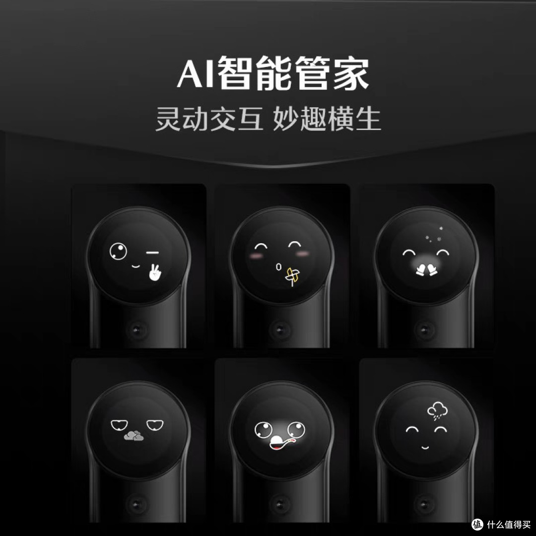 德施曼R9智能锁