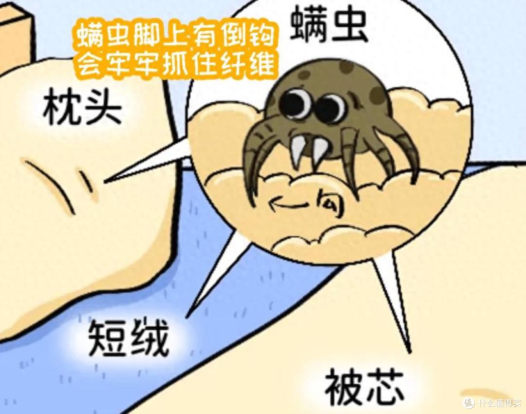 哪种家用除螨仪效果比较好用？畅销除螨仪机型测评排行推荐