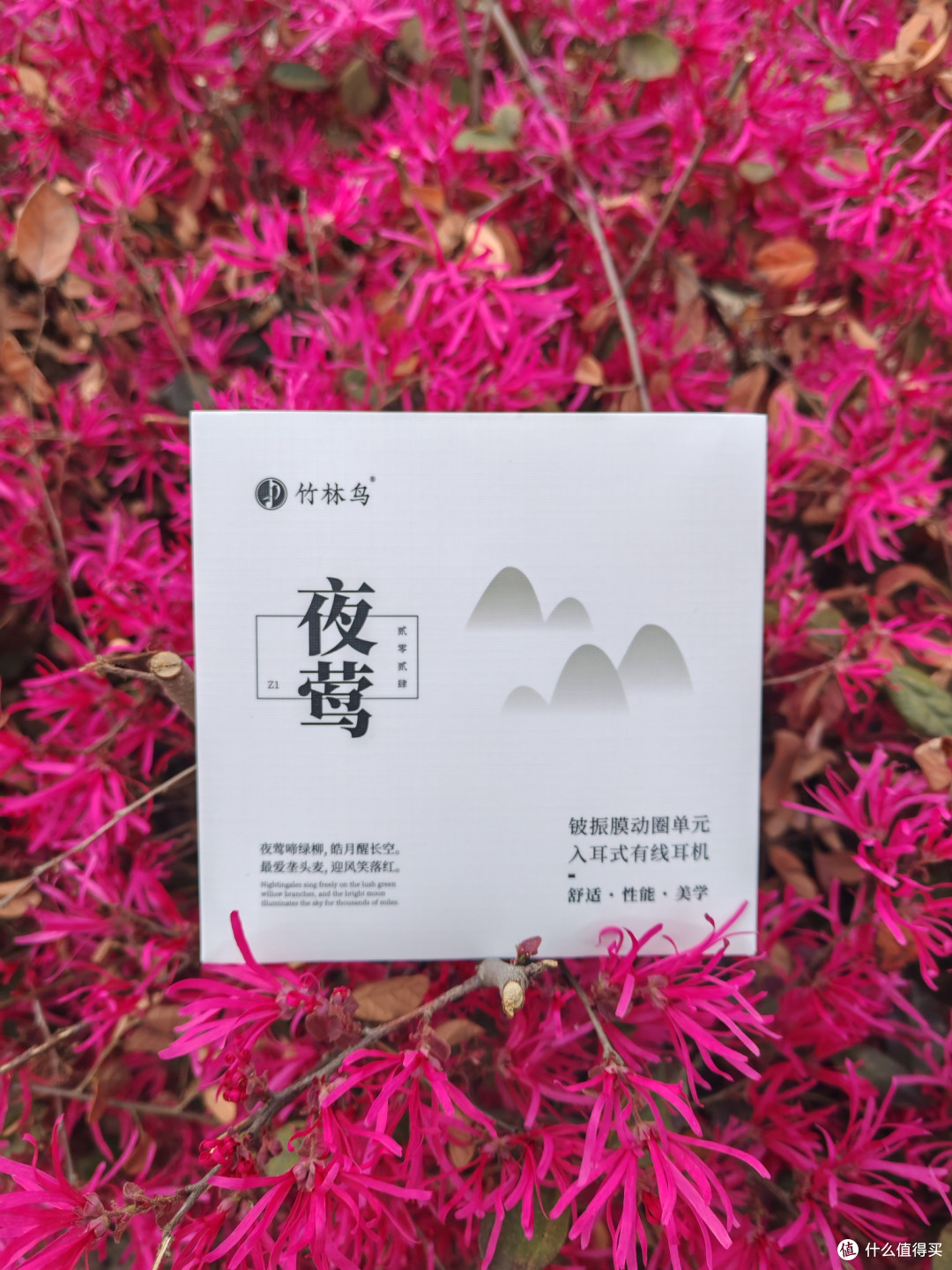 音质控闭眼入!竹林鸟夜莺凭实力制霸有线耳机圈