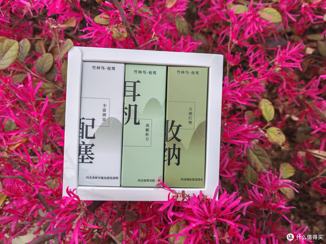 音质控闭眼入!竹林鸟夜莺凭实力制霸有线耳机圈