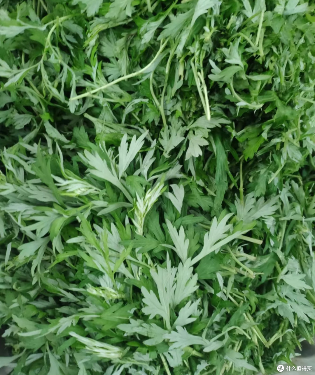 一款传统的清明节美食