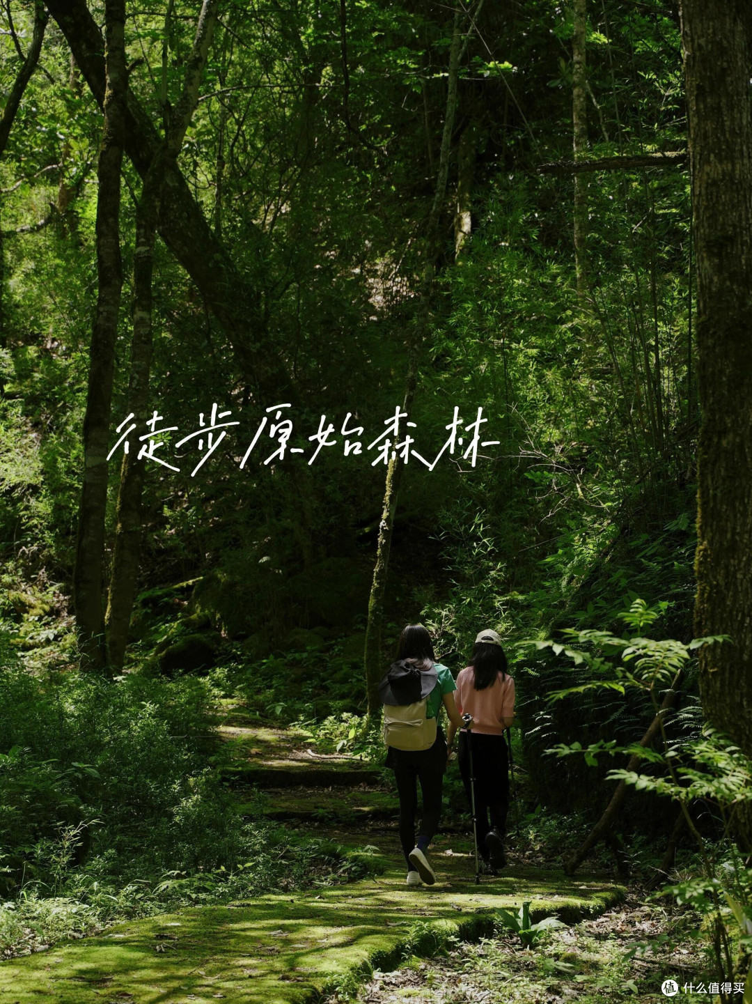 被大众遗忘的云南徒步秘境，全网几乎零攻略