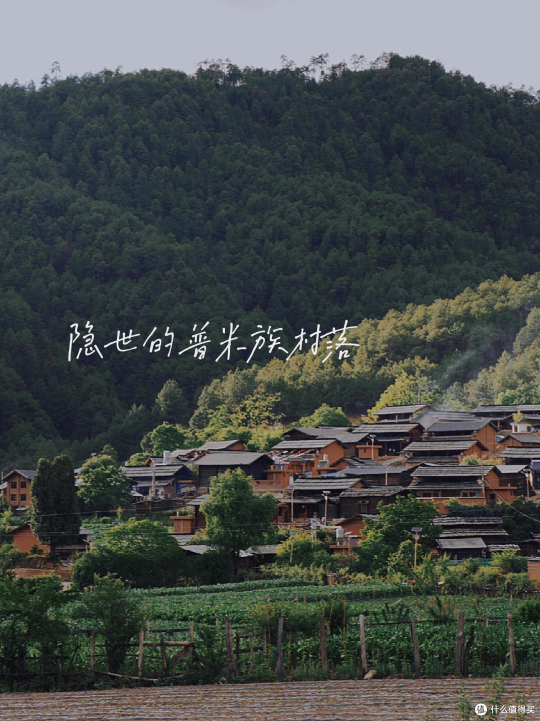 被大众遗忘的云南徒步秘境，全网几乎零攻略