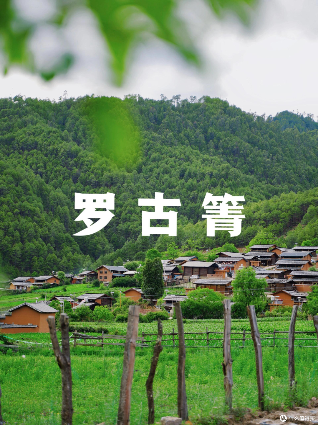 被大众遗忘的云南徒步秘境，全网几乎零攻略