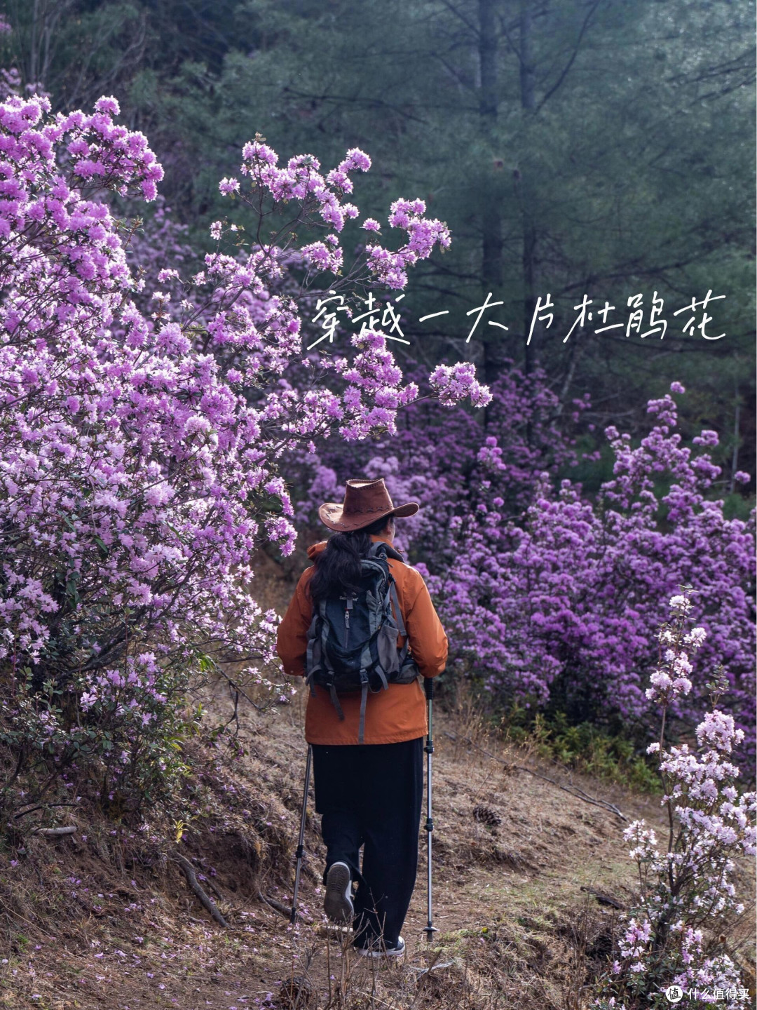 被大众遗忘的云南徒步秘境，全网几乎零攻略