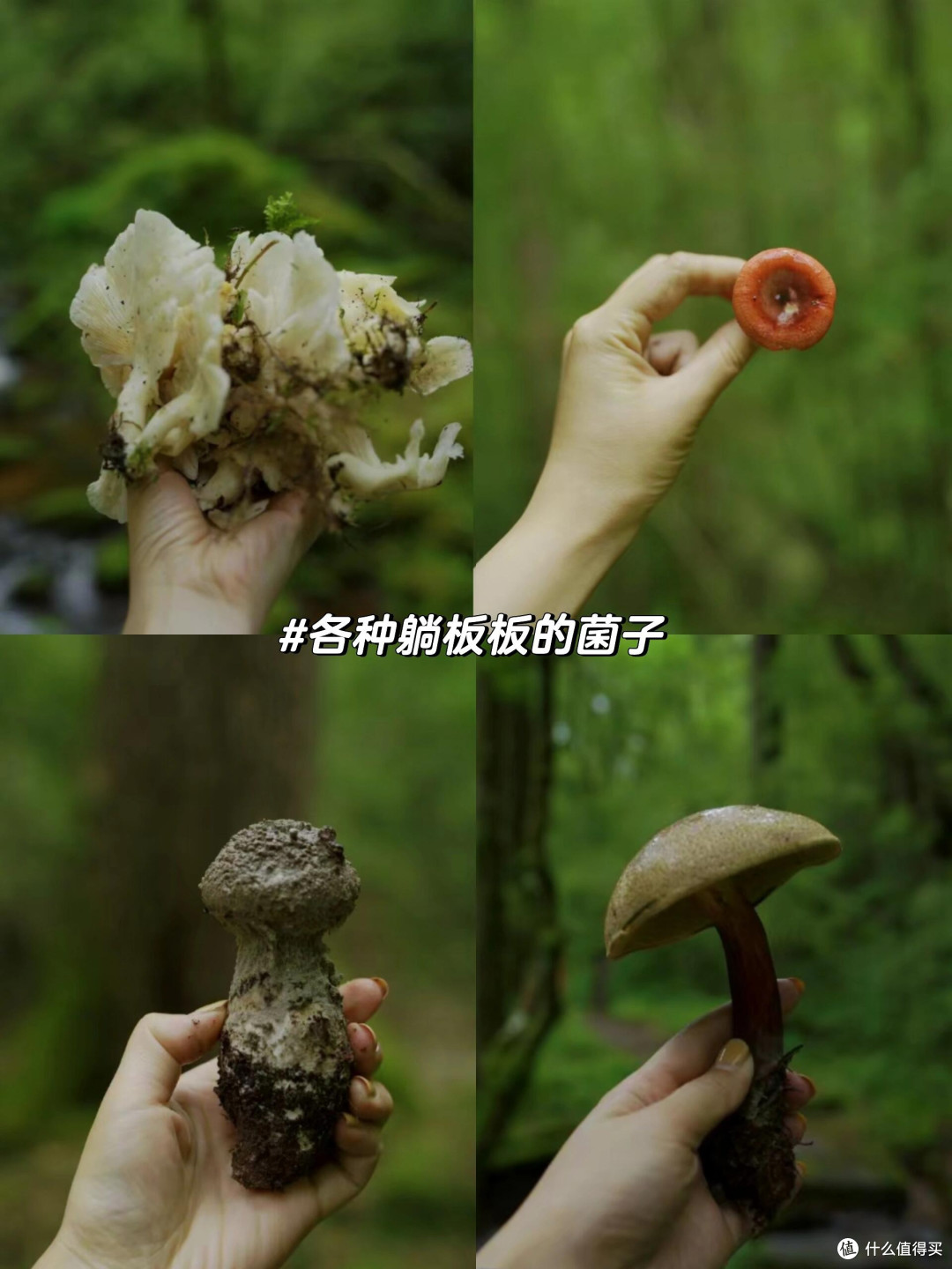 被大众遗忘的云南徒步秘境，全网几乎零攻略