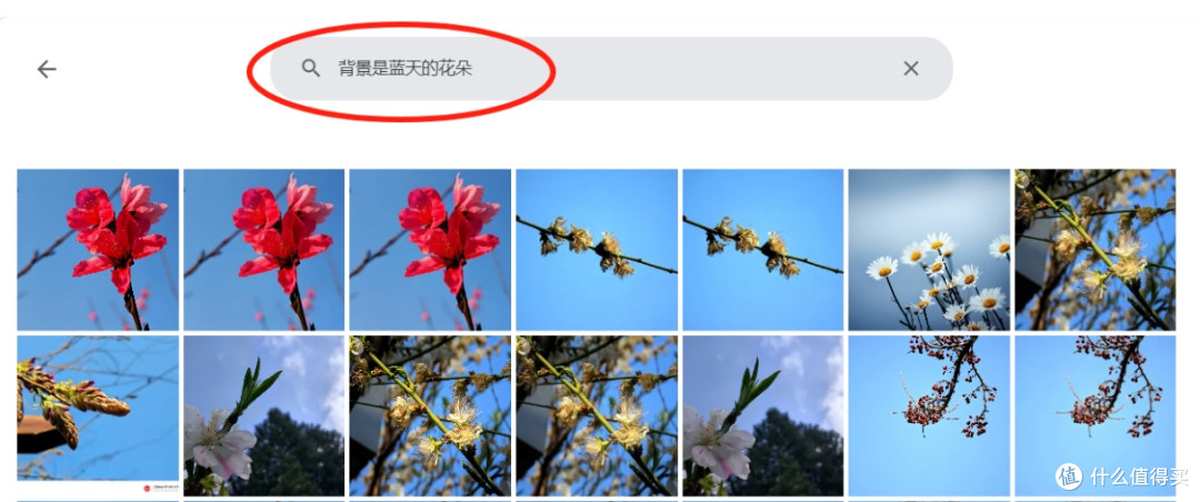 2025.4最新AI相册immich更换支持中文搜索的CLIP大模型教程