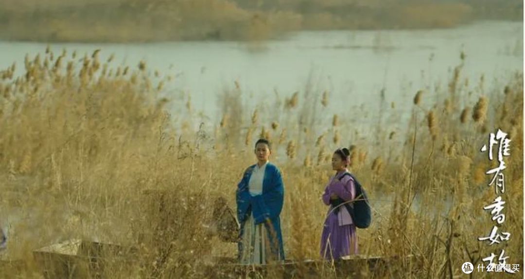 8部美到窒息的国产记录片,每一帧都可以当壁纸!