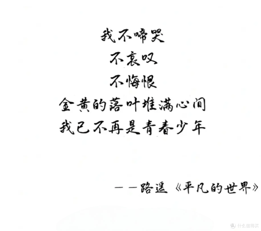 《平方的世界》撕开爽文遮羞布:哪有反派?生活本身就是终极BOSS