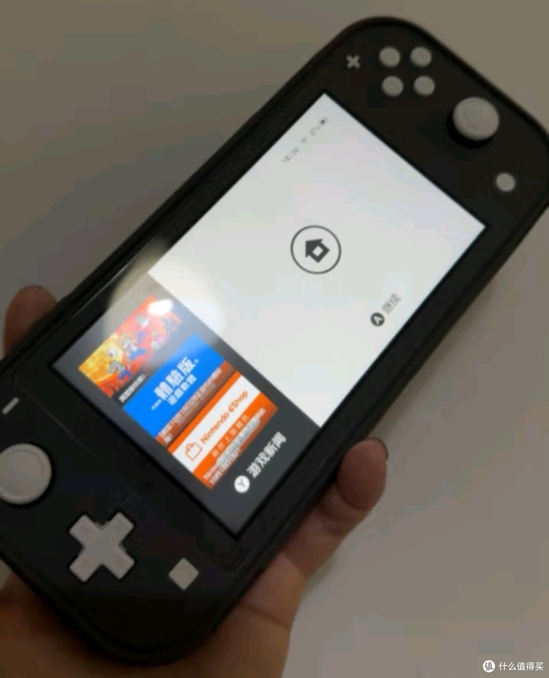 Nintendo Switch任天堂NS主机日版Switch Lite mini NSL