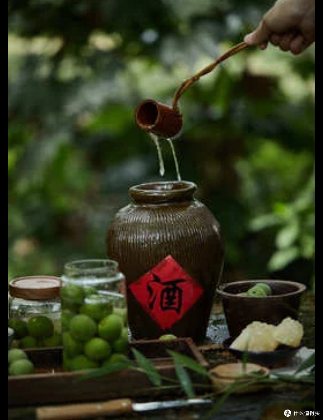 春日限定美酒评测,分享你的第一口体验