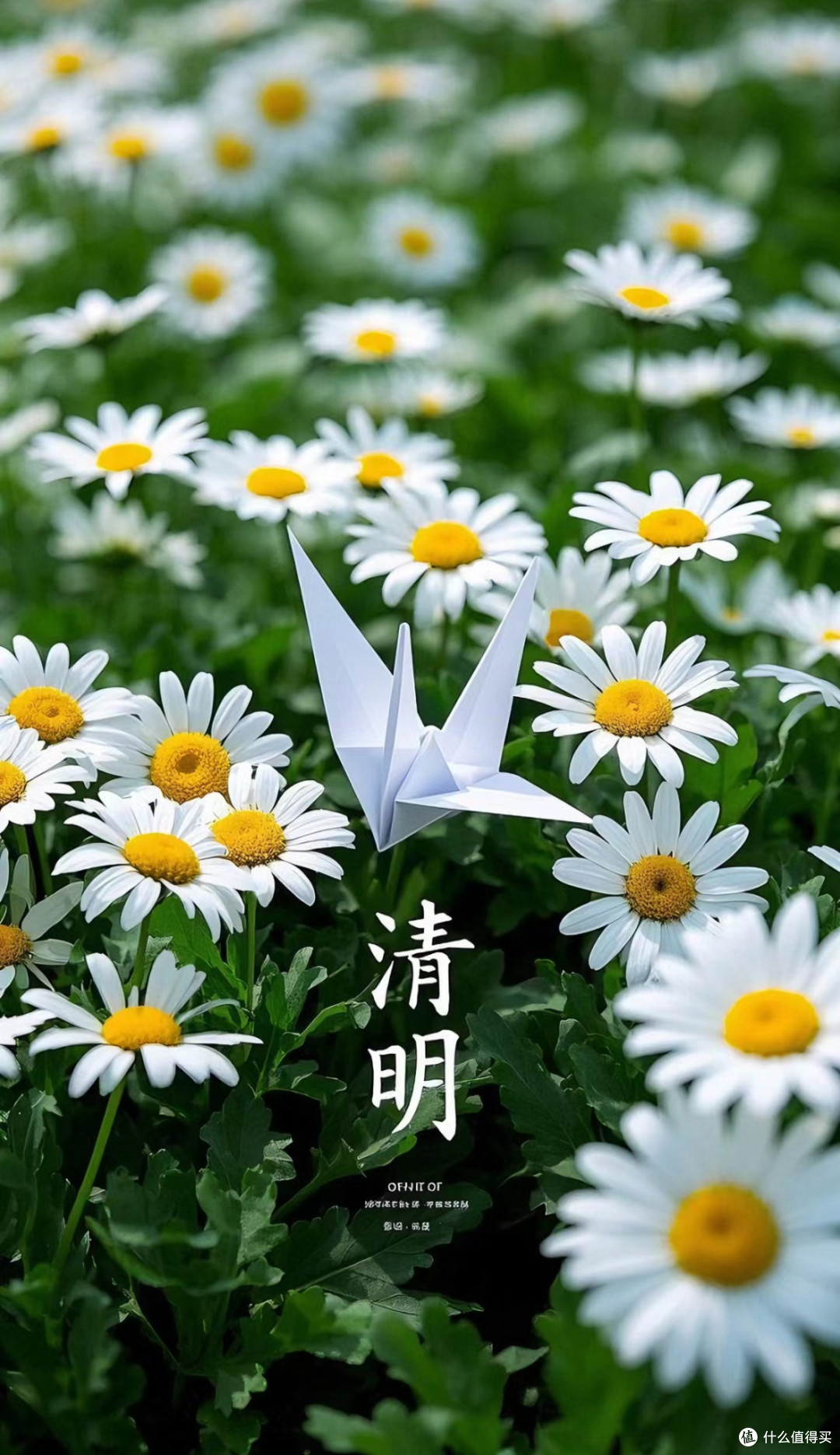 清明时节的健康养生小贴士