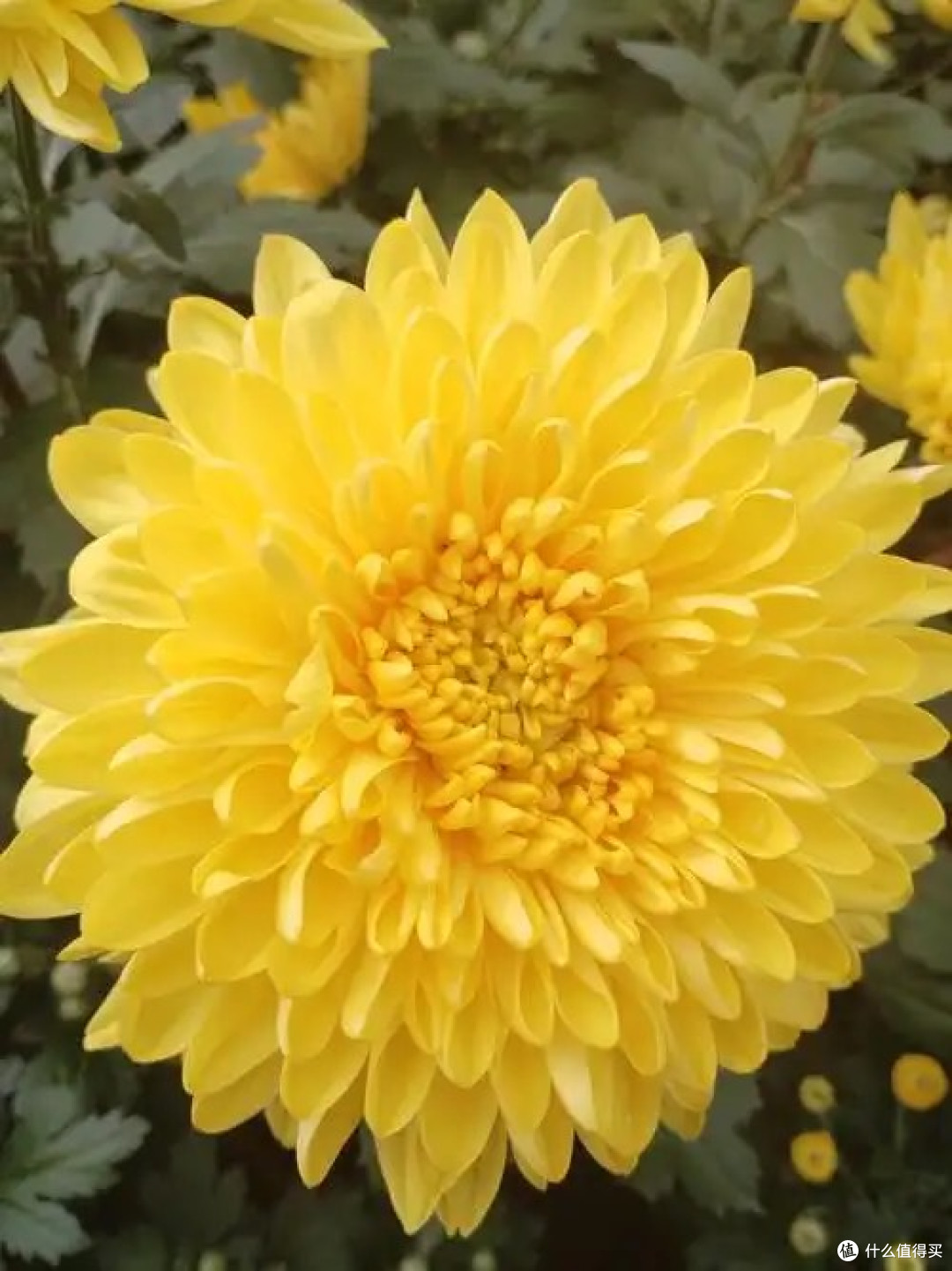 清明时节养生食补指南!