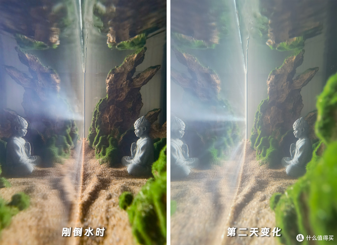 纯小白也能轻松打造的【禅意峡谷造景】鱼缸