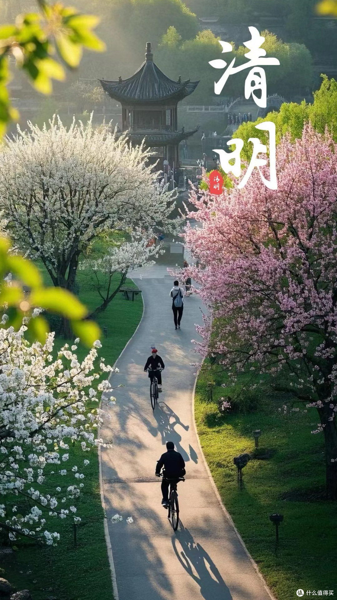 清明:寻春履迹,追思前行