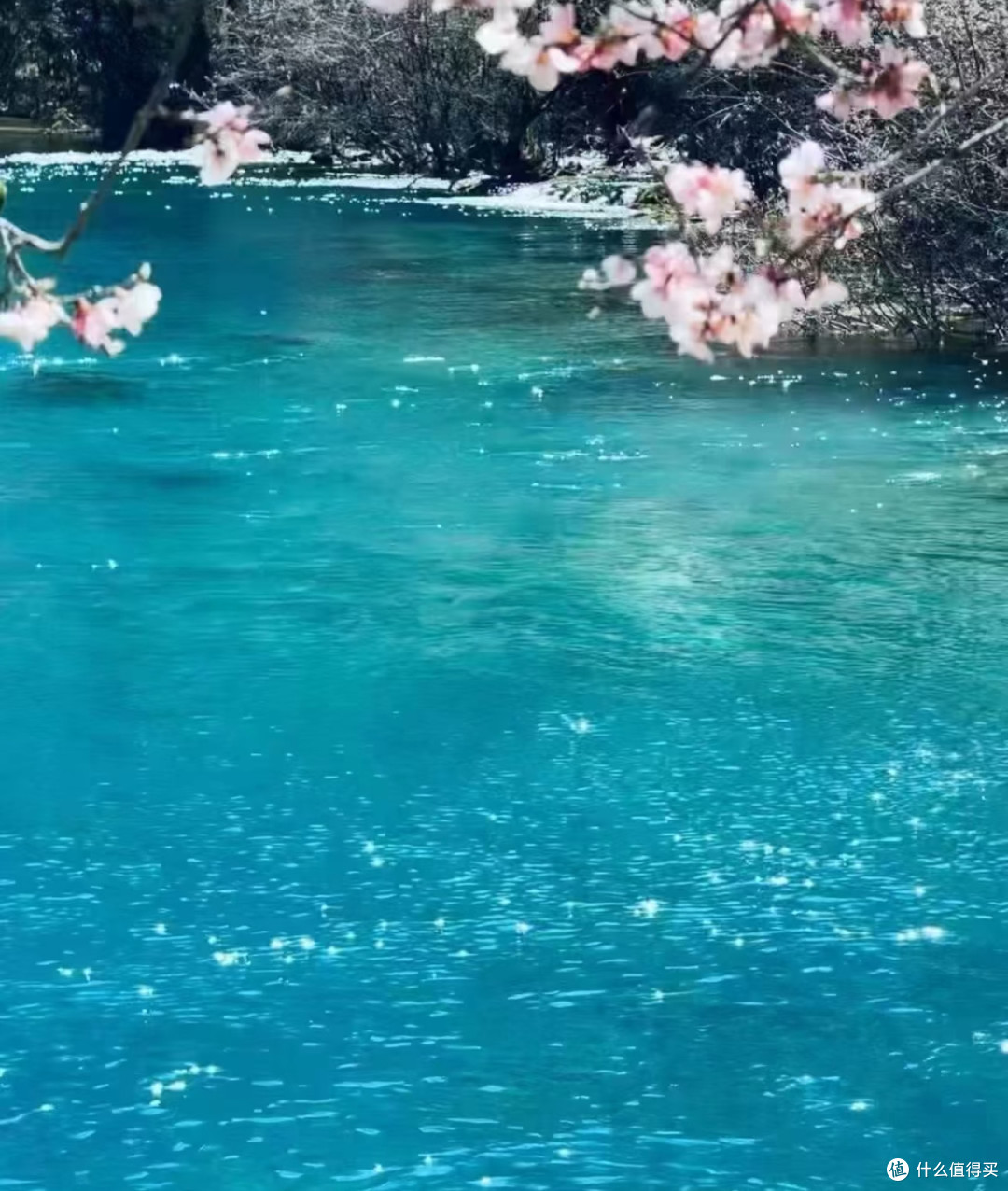 清明节要来玩的👭听劝！