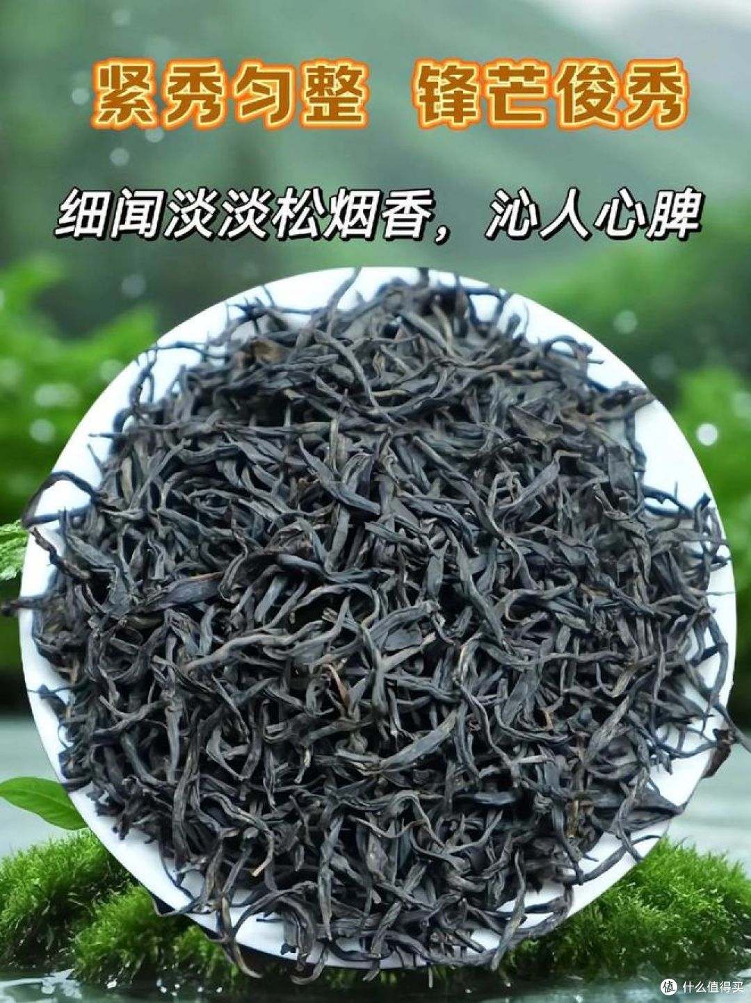 大红袍和正山小种的区别?