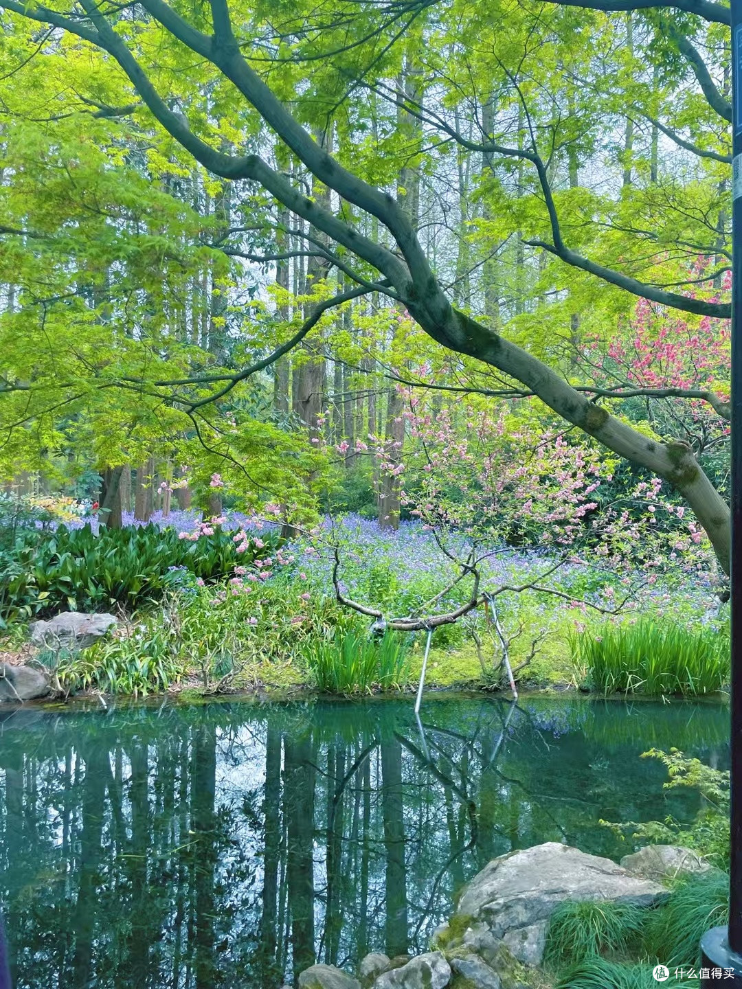 清明踏青装备:从野餐垫到登山杖