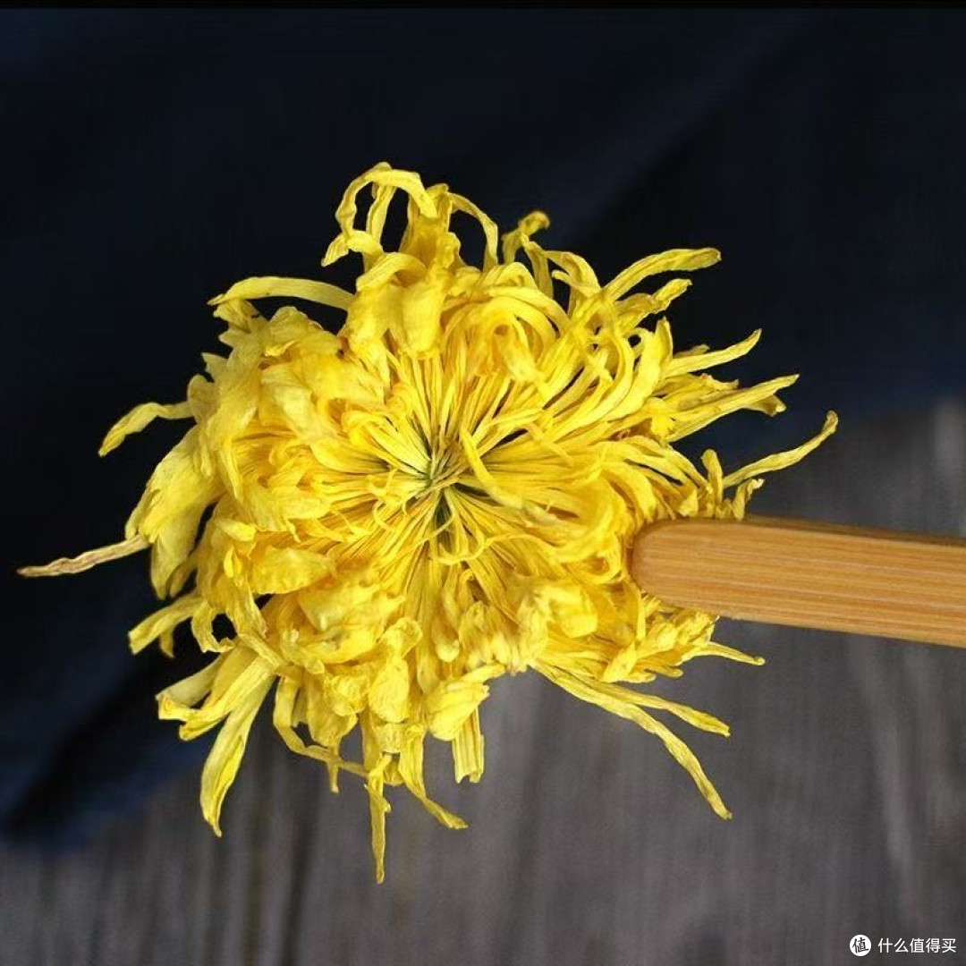清明节正是喝菊花茶的好时候