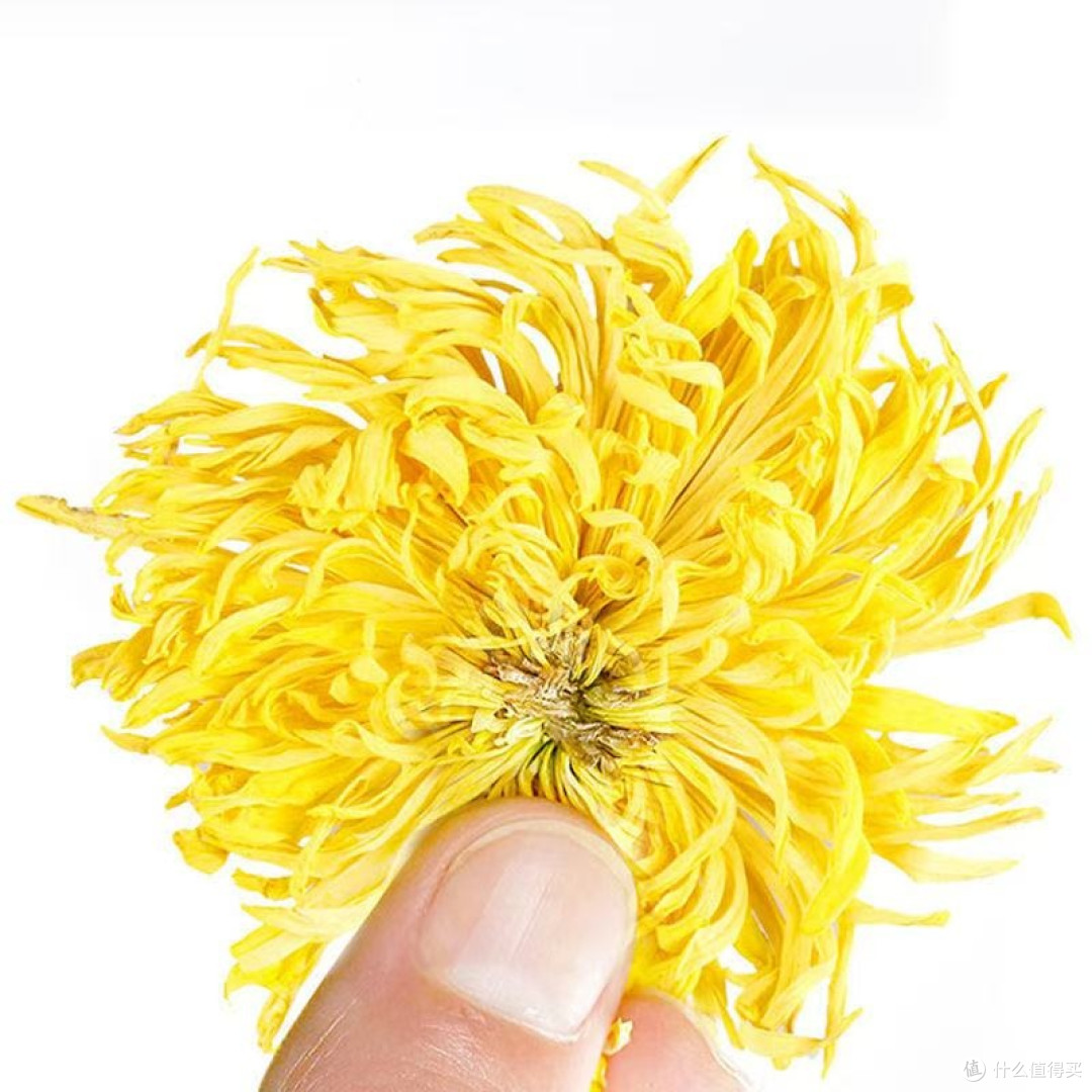 清明节正是喝菊花茶的好时候