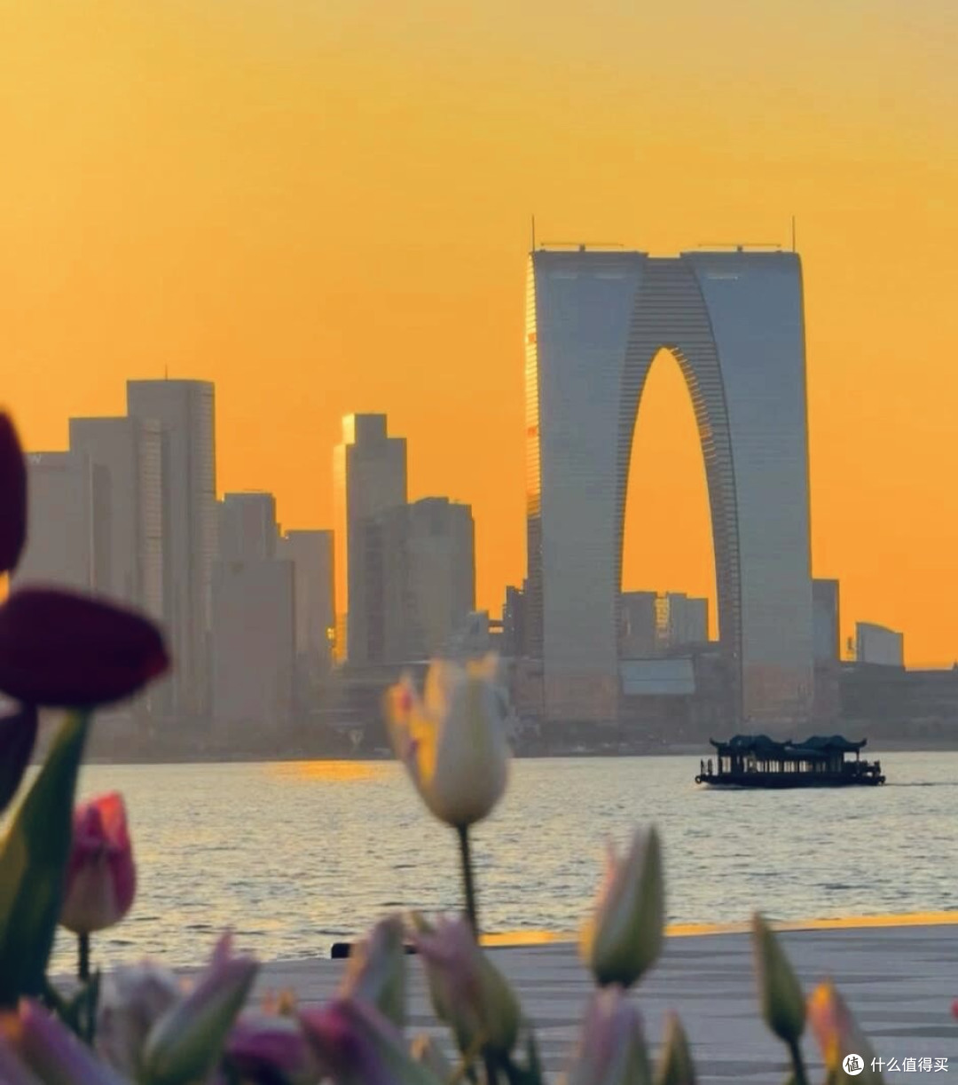 姑苏古城与现代都市的完美融合🌸超详细游玩攻略,拿走不谢