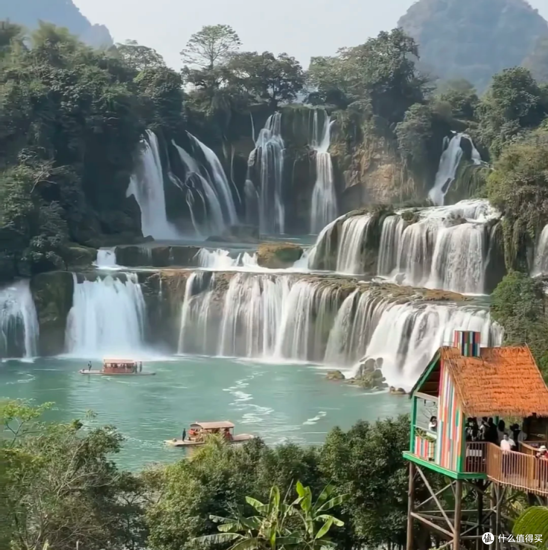 德天春行:花瀑相融,醉心之旅