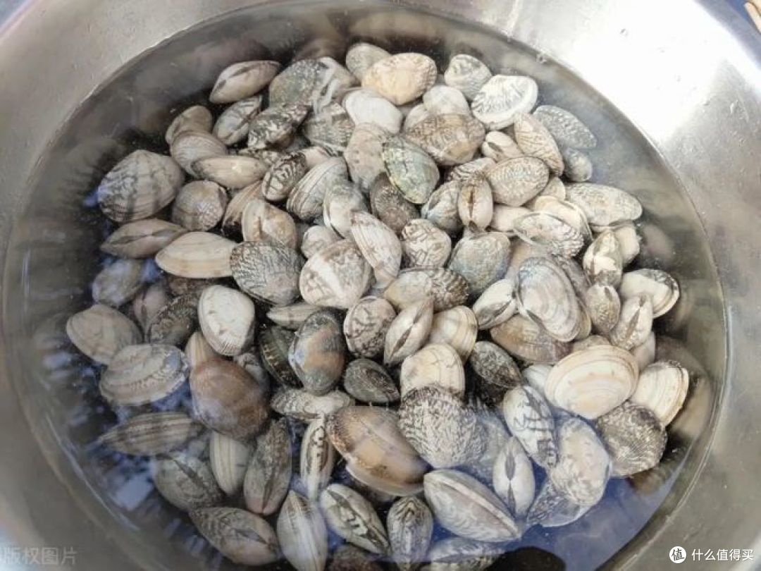 花甲属于海鲜类的吗?味道如何?