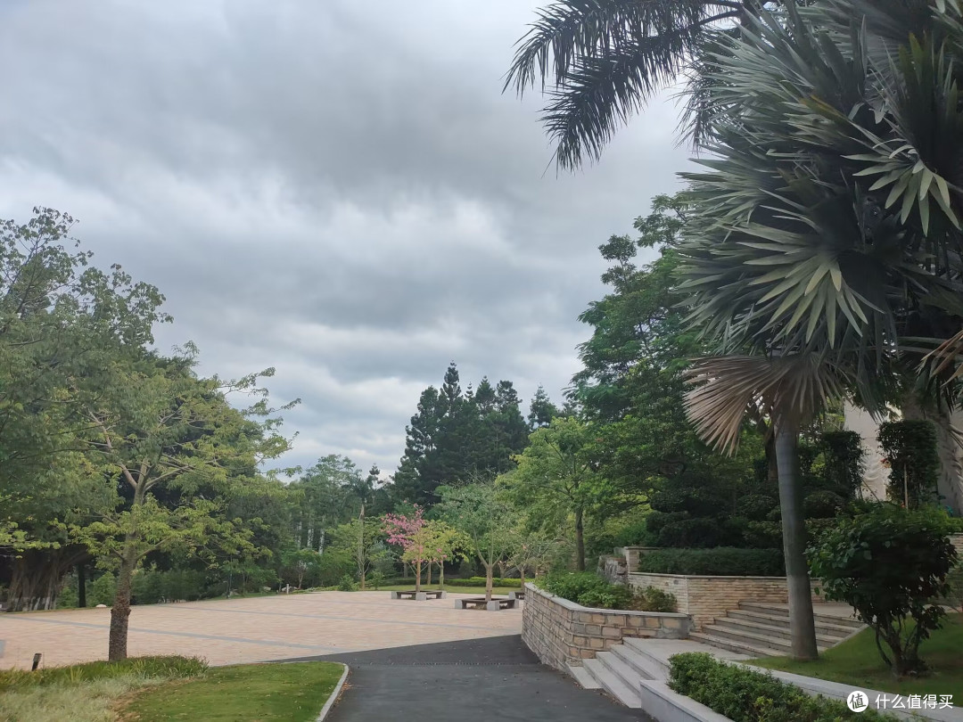 我在春天走花路之公园赏花