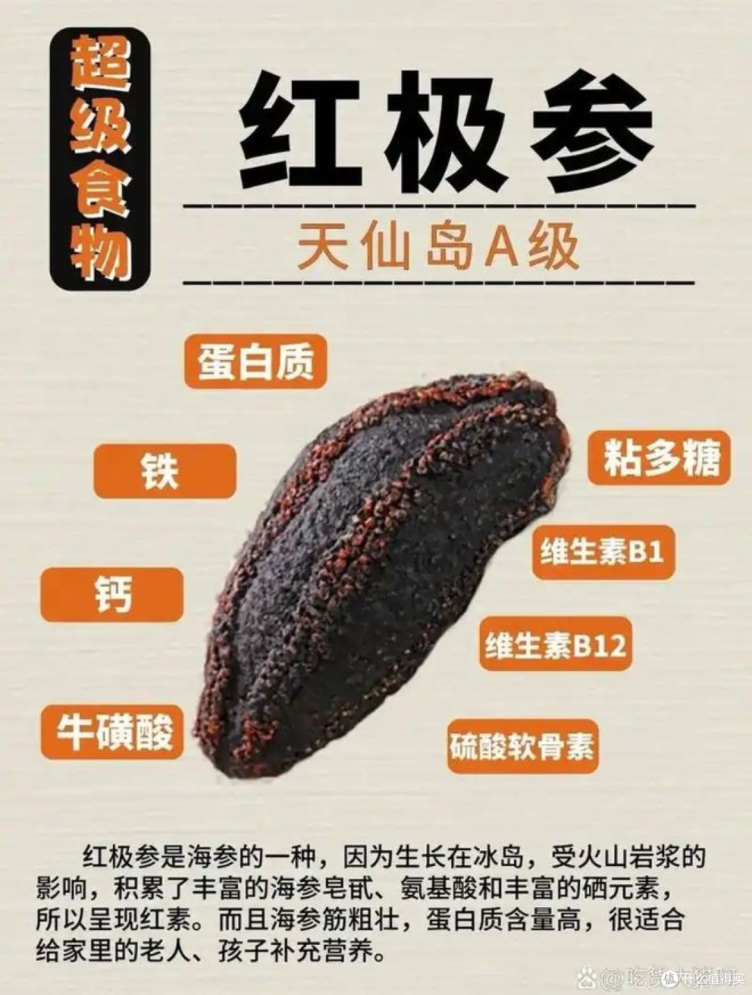 红极参和海参的区别,多种比较,对健康有好处!