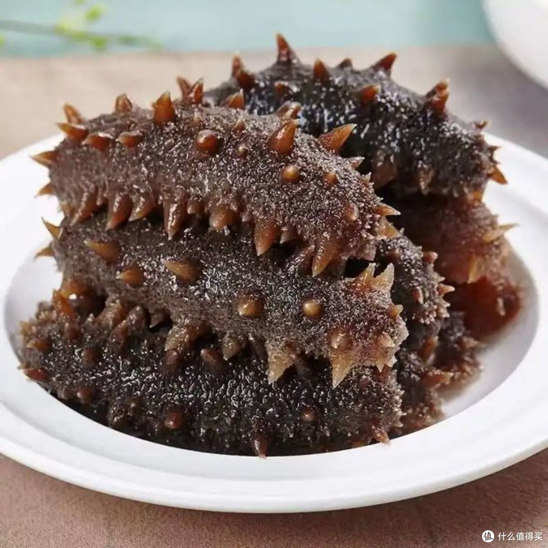 红极参和海参的区别,多种比较,对健康有好处!