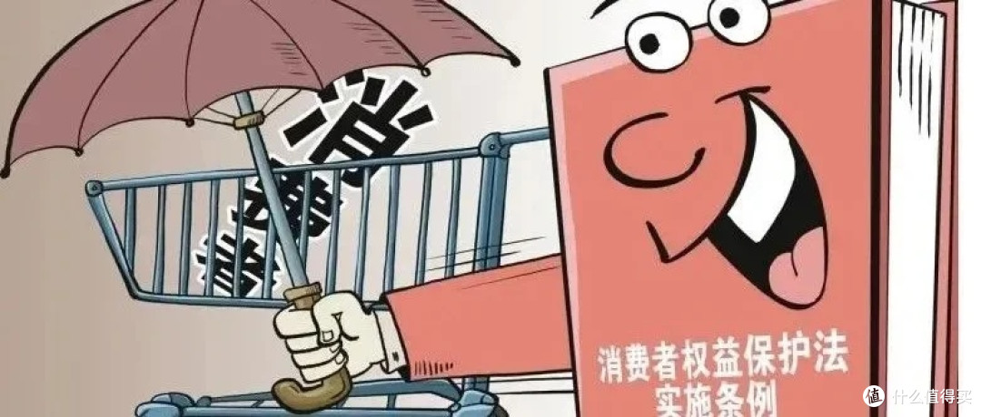 消费者权益保护法与消费安全