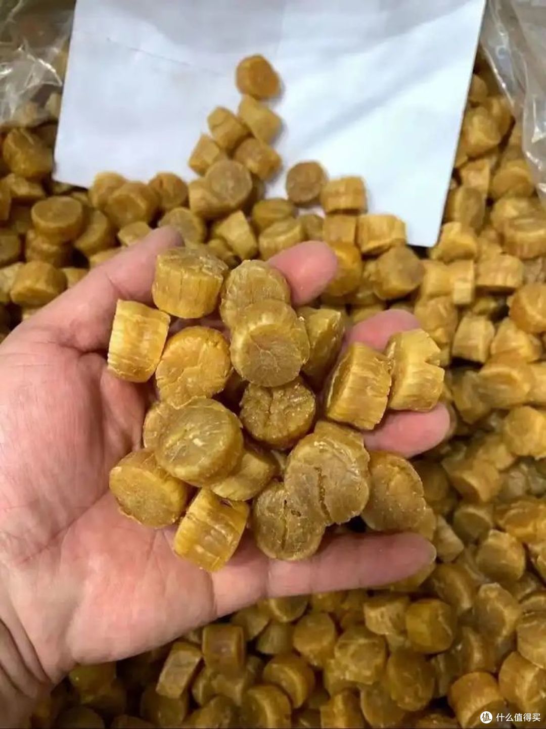 元贝和扇贝的区别，哪种好吃？