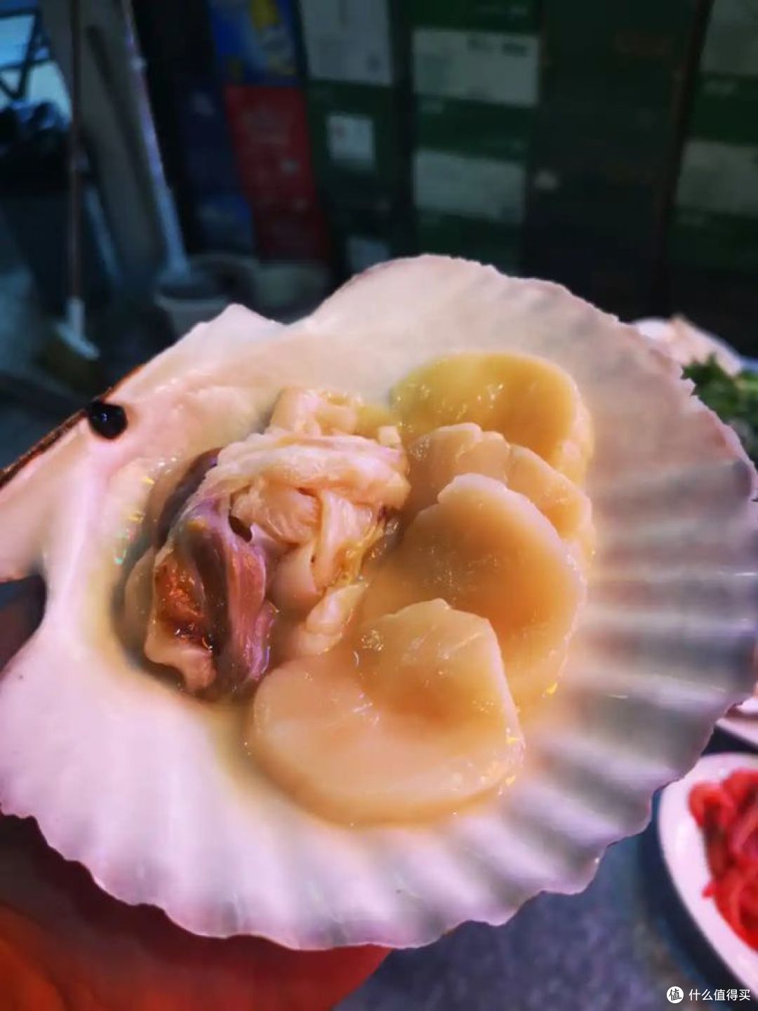 元贝和扇贝的区别，哪种好吃？