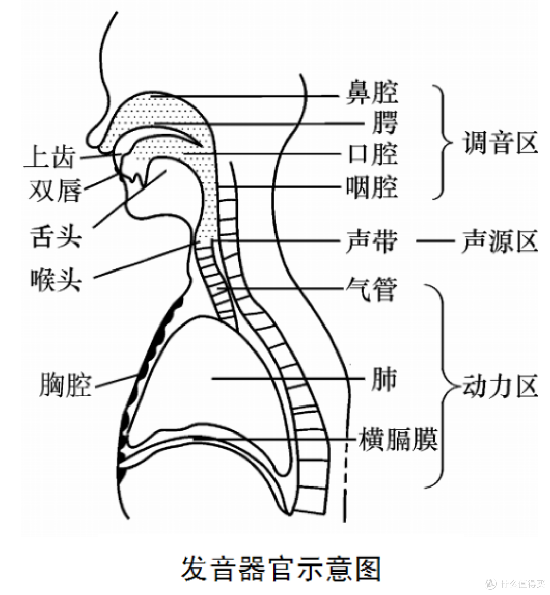 《美人鱼》人鱼之恋背后的隐秘情事