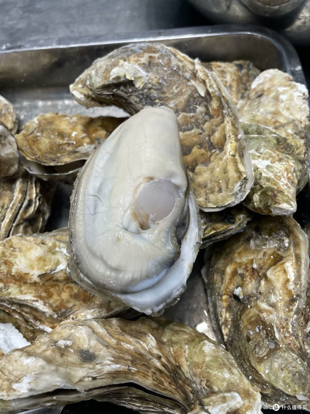 生蚝真的可以壮腰吗?