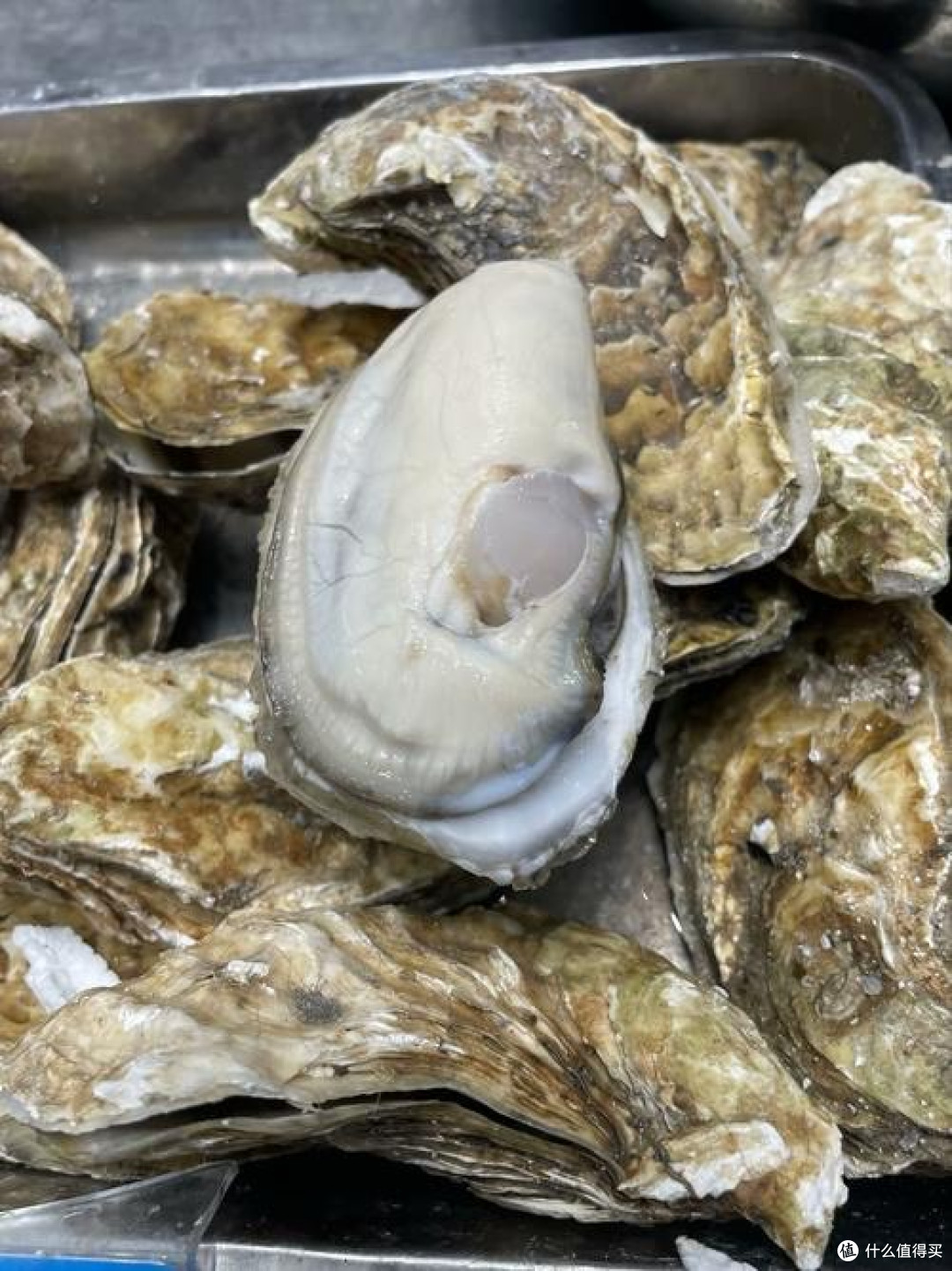 生蚝真的可以壮腰吗?