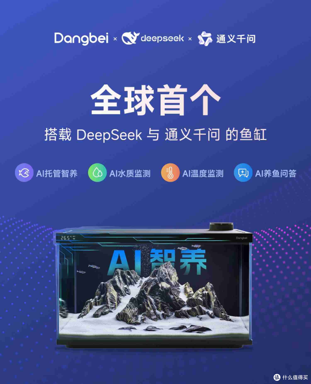 纯小白也能轻松打造的【禅意峡谷造景】鱼缸