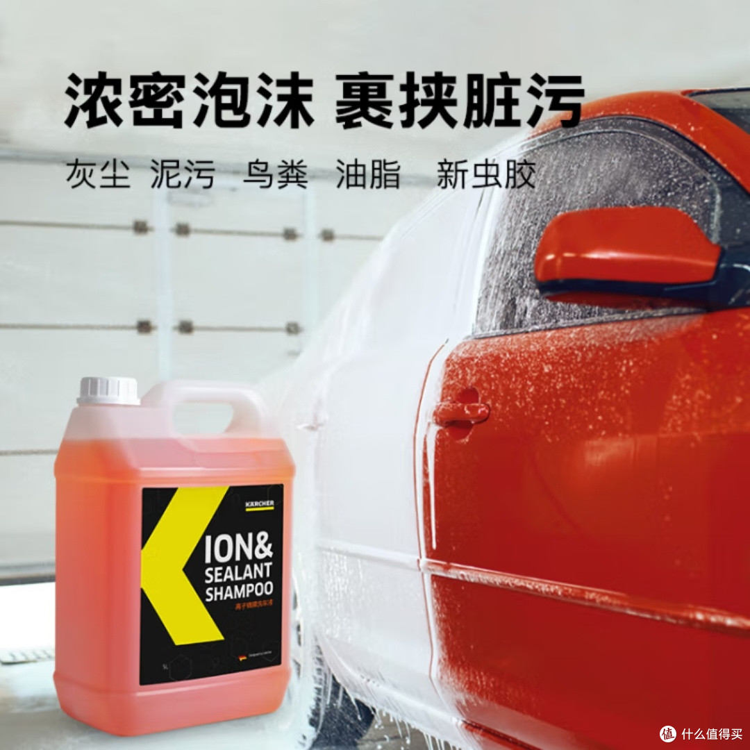KARCHER德国卡赫洗车机清洁剂