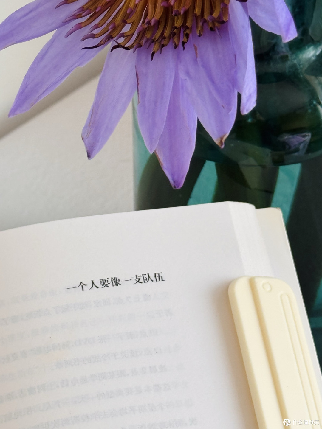 被这本书狠狠治愈了!建议所有迷茫的人来看~