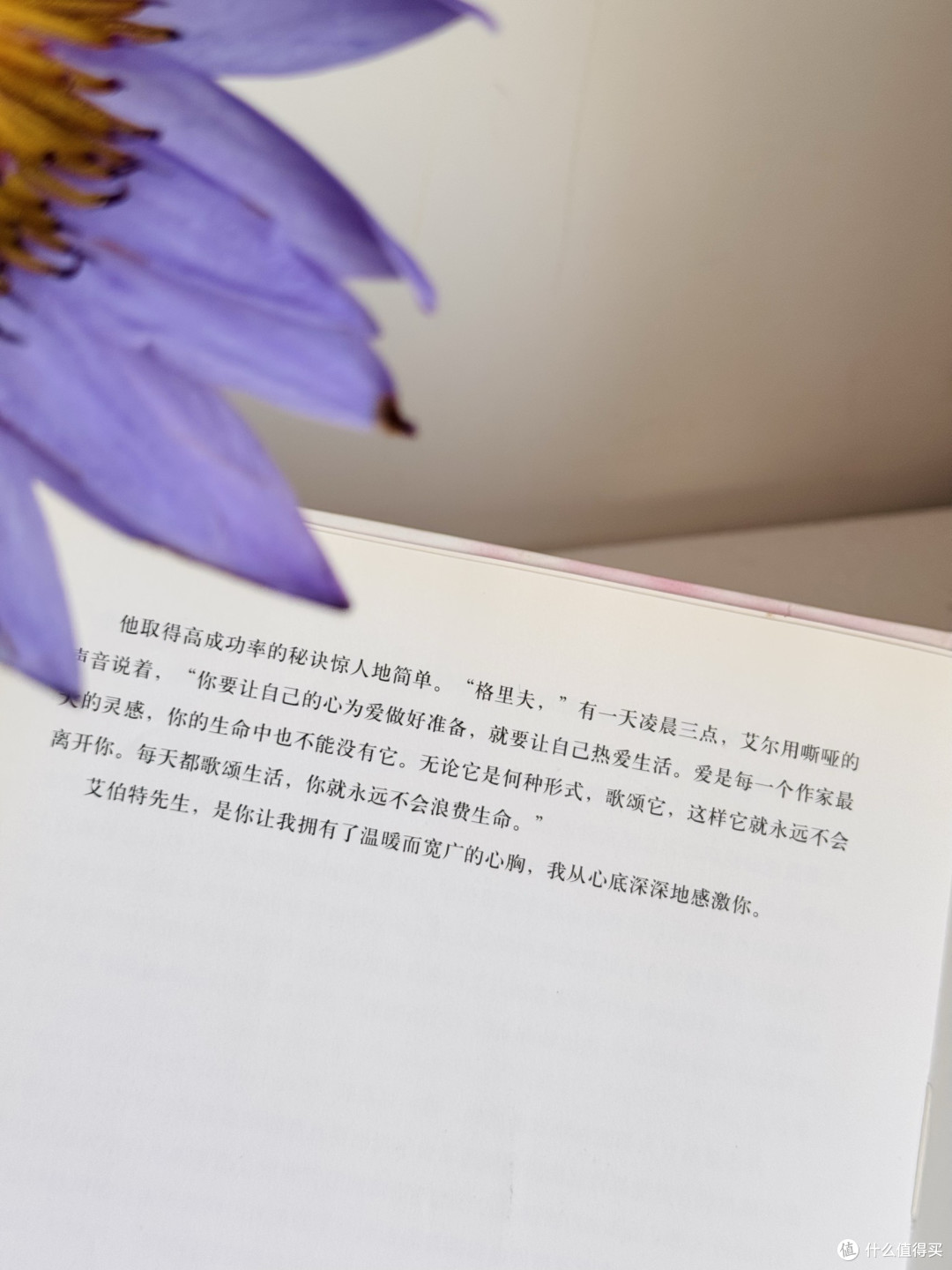 被这本书狠狠治愈了!建议所有迷茫的人来看~
