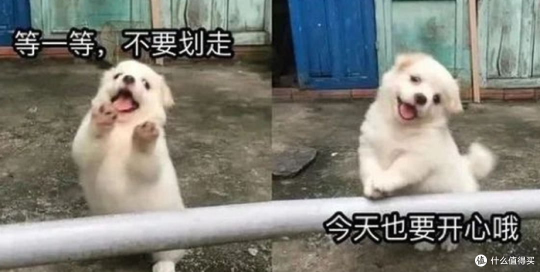 哪一款护发精油可以抚平毛躁?卡诗效果怎么样?护发精油怎么用?