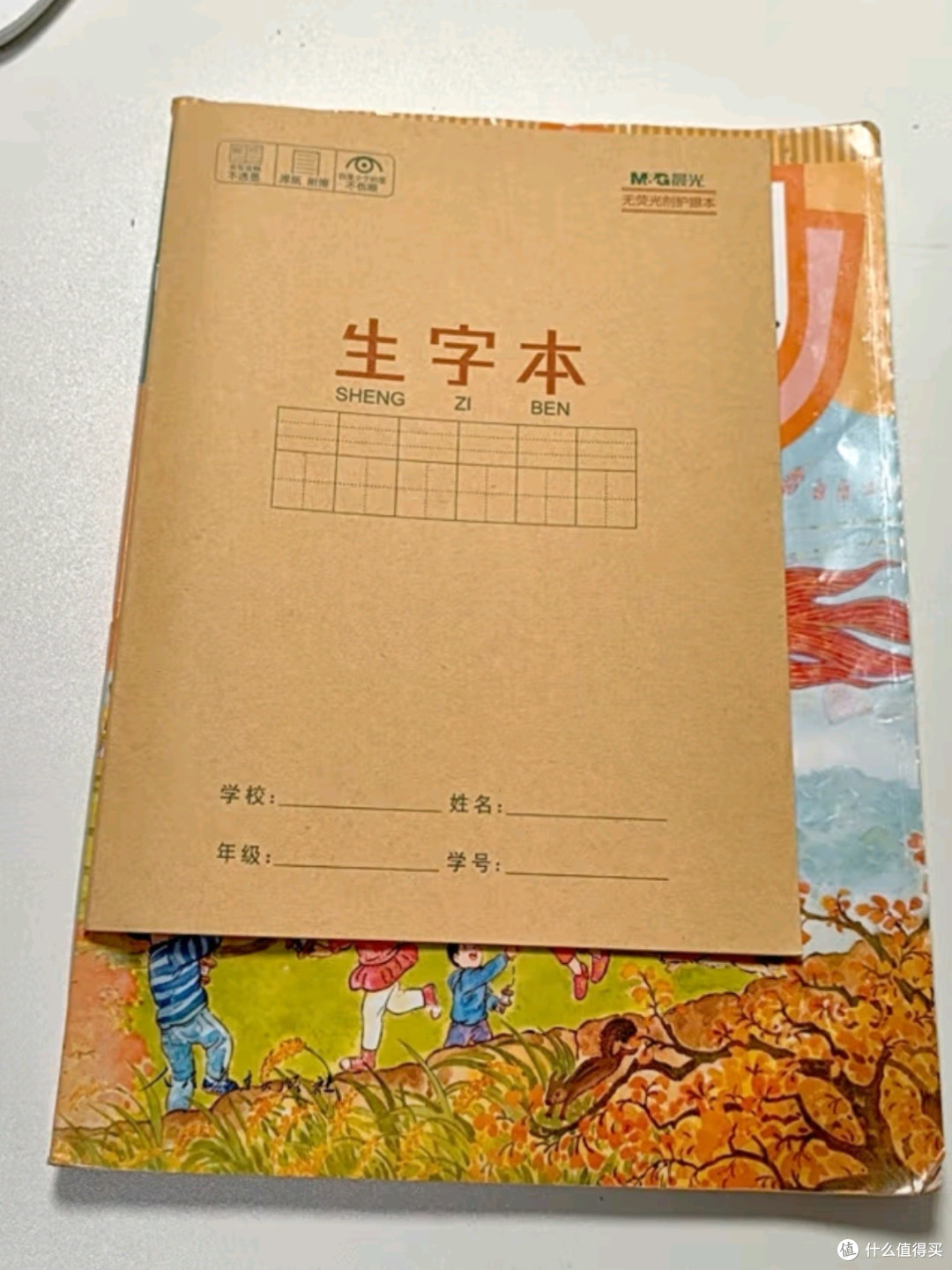 晨光(M&G)文具生字本APYL919NA:助力孩子书写规范